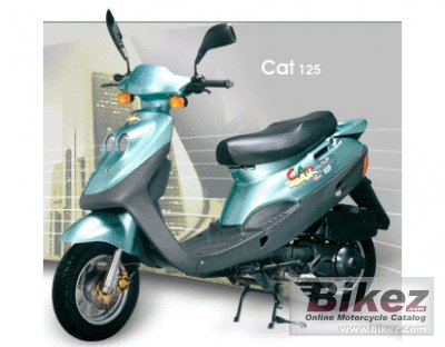 2009 Adly Cat 125S