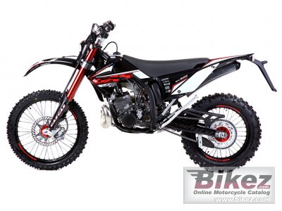 2010 GAS GAS EC 250 2T rated