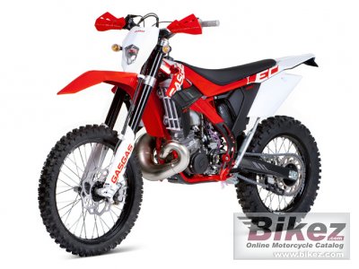 2012 GAS GAS EC 300 rated