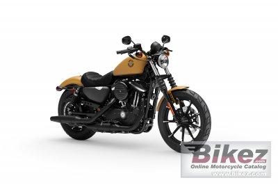 2019 Harley-Davidson Sportster Iron 883 rated