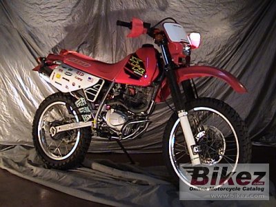 honda xlr 125 photograph