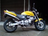 1999 Honda Hornet photo