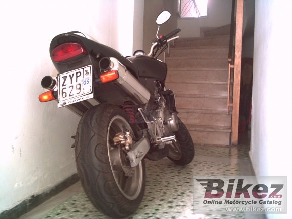 1999 Honda Hornet photo