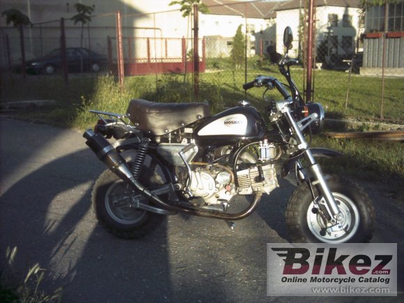 2006 Honda Monkey photo