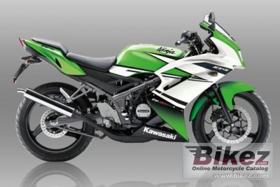 2015 Kawasaki Ninja RR Special Edition
