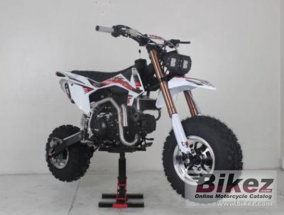 2021 Pitster Pro FSE 190R Fat Tire