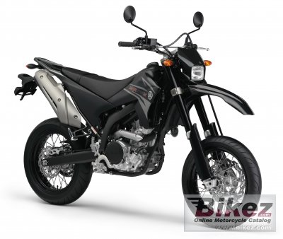 2010 Yamaha WR250X rated
