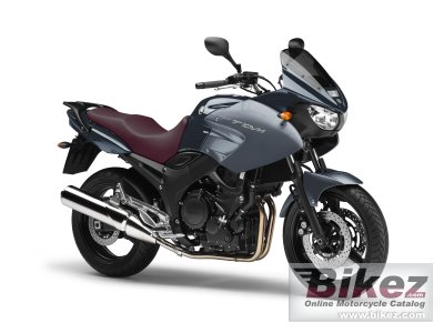 2013 Yamaha TDM 900 rated