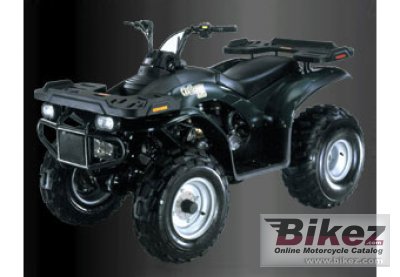 2012 E-Ton Challenger CXL-150 rated